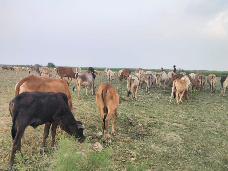 57820f6e-2171-483b-a544-368f50467614