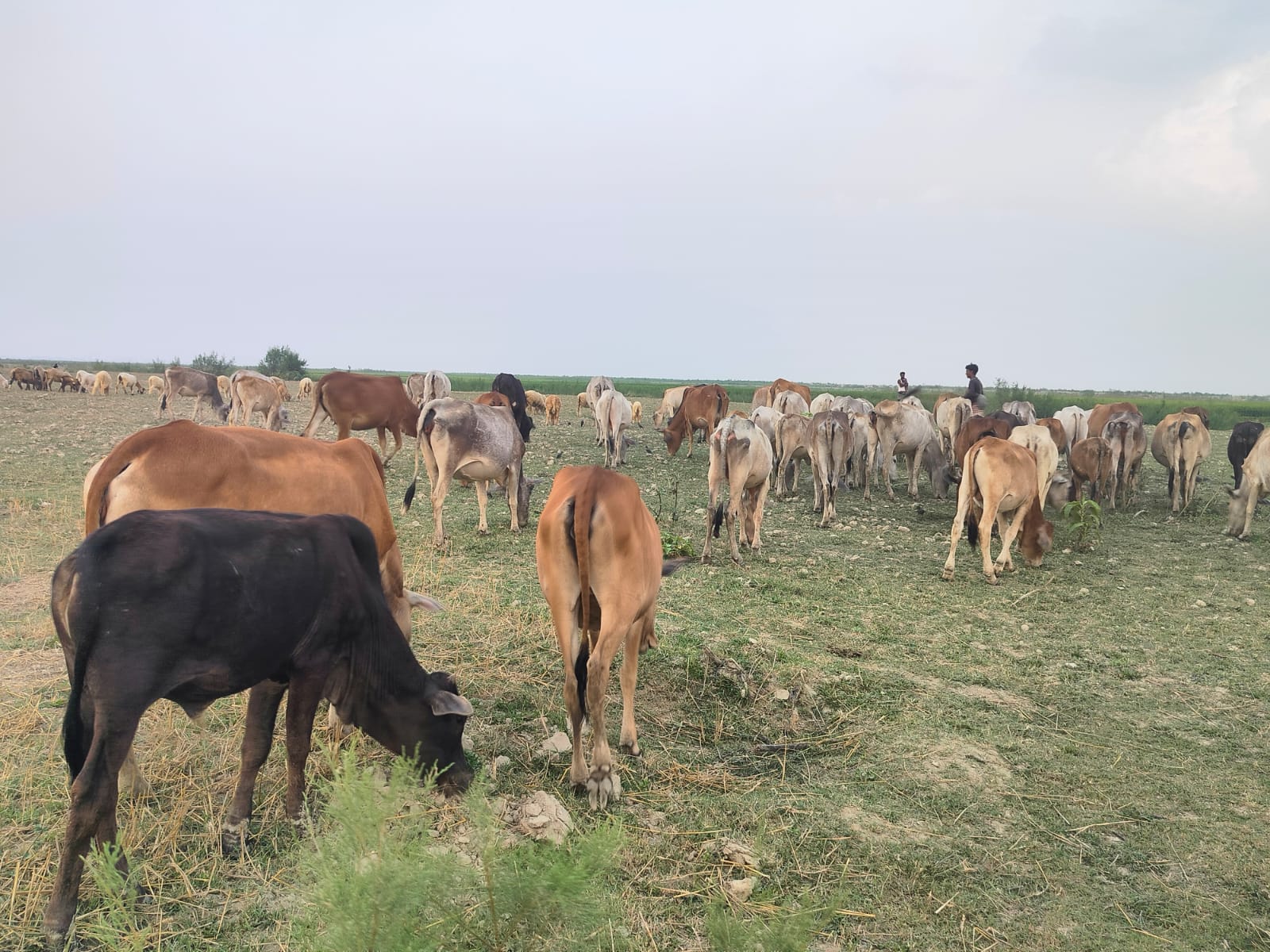 57820f6e-2171-483b-a544-368f50467614