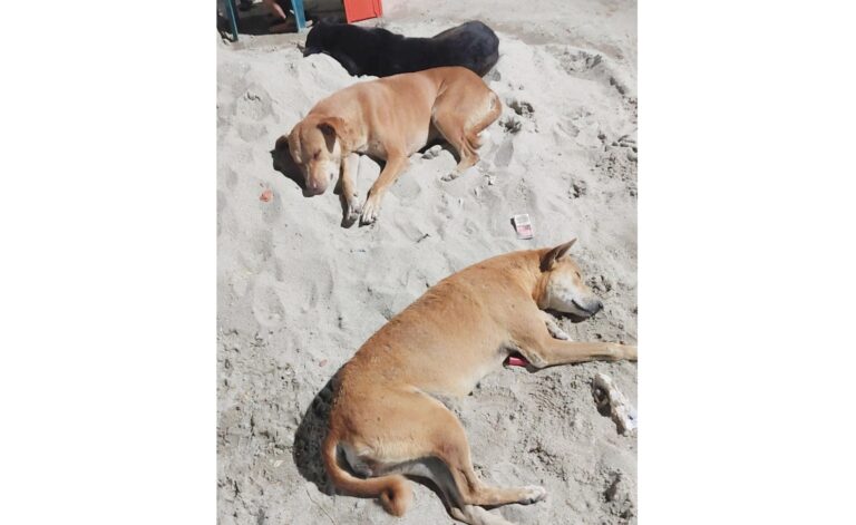 8b0c4b95-44af-432e-93f4-4cb82bd586a0