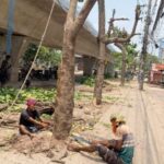 8b2fdee7-9f58-43cf-9d46-8f4f130bf667