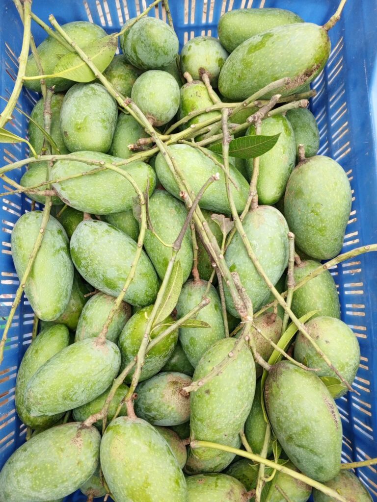 FB_IMG_1777358522802