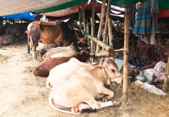 Screenshot_20260419_210005_Facebook