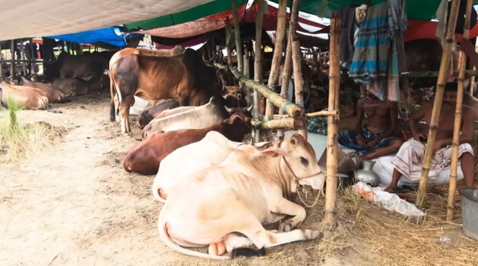 Screenshot_20260419_210005_Facebook