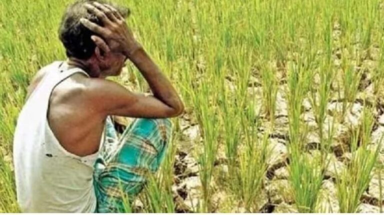 f1158676-36d1-4e47-bf66-eaa61b0dc466